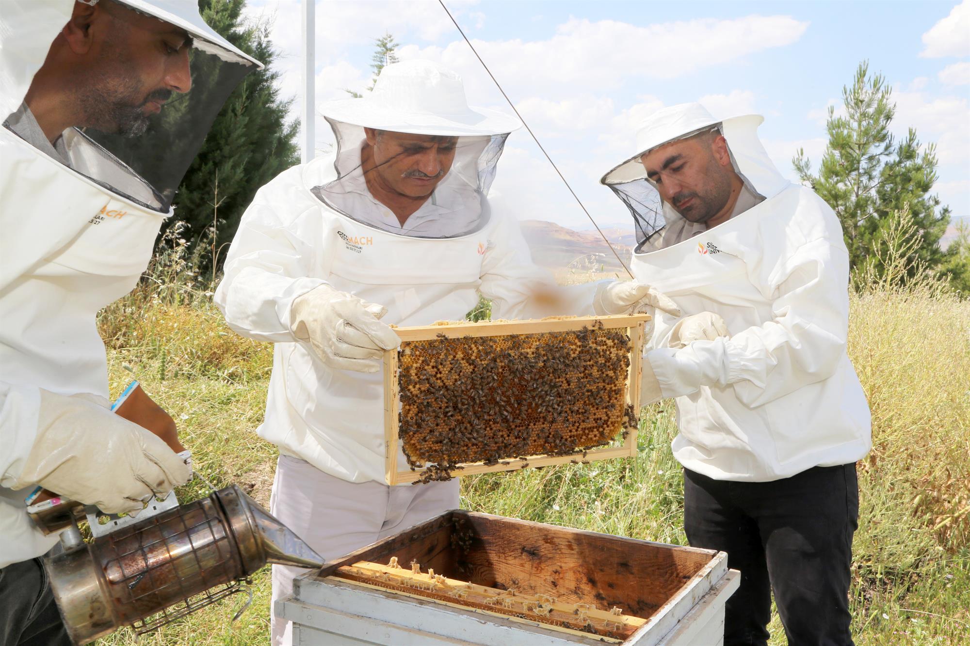 Üniversitemizden Bölgede Bir İlk: Ana Arı Üretimi Başarıyla Gerçekleştirildi